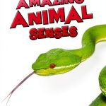 Raintree Animal Encyclopedia Kindle eBook 36‑Page Guide for Ages 8‑10-0