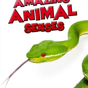 Raintree Animal Encyclopedia Kindle eBook 36‑Page Guide for Ages 8‑10-0