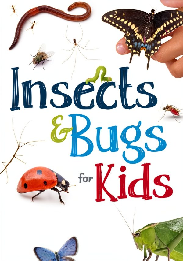 Bug and Spider Science for Kids: Simple Introductions to Science-0